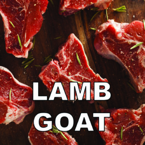 Lamb & Goat